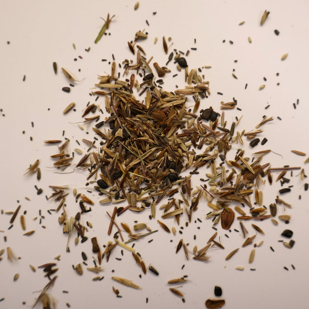 Small pile of Tall Prairie seeds on light background