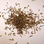 Big Bluestem Grass seeds in a small pile on white background