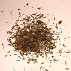 small pile of native prairie seeds including milkweed on a light background