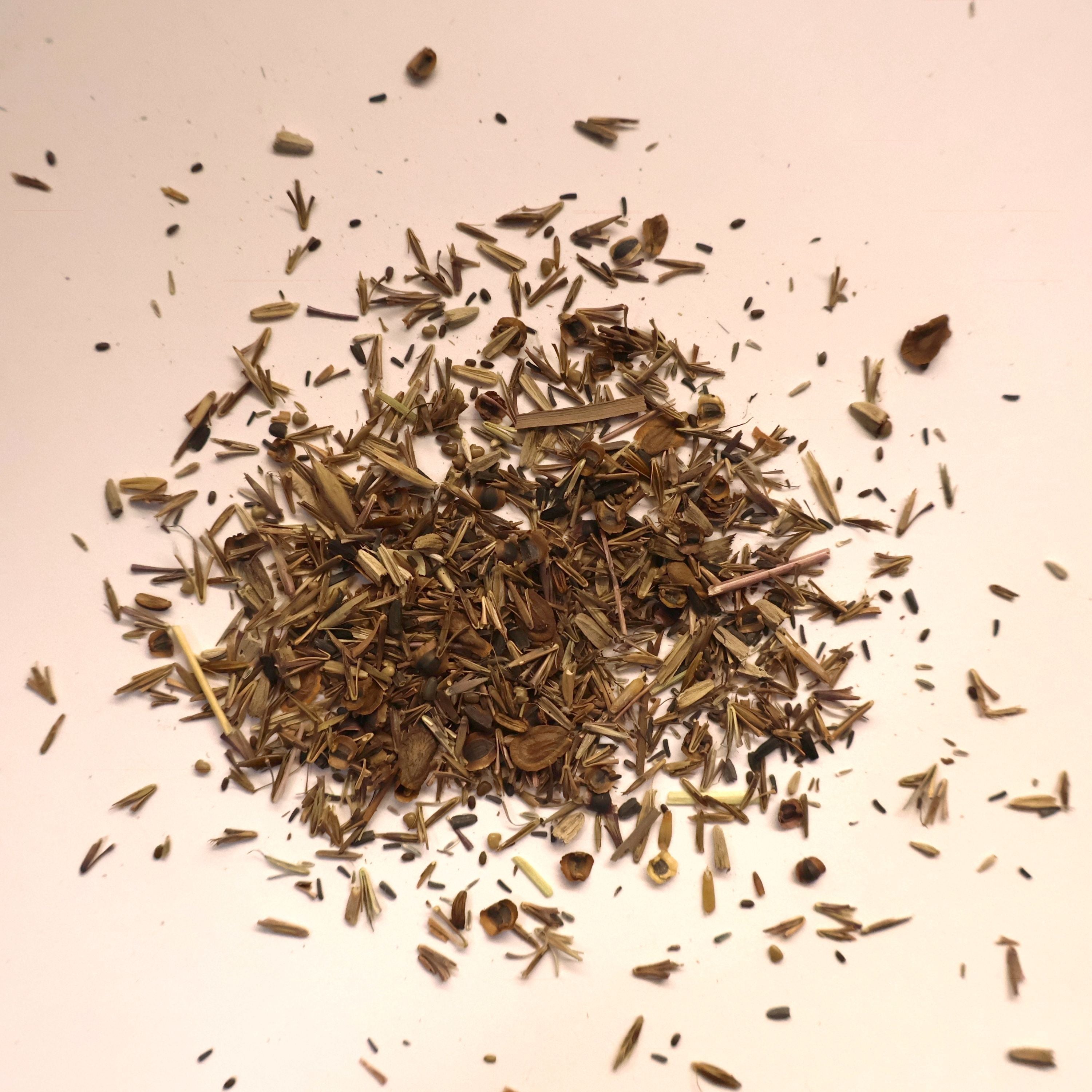 small pile of native prairie seeds including milkweed on a light background