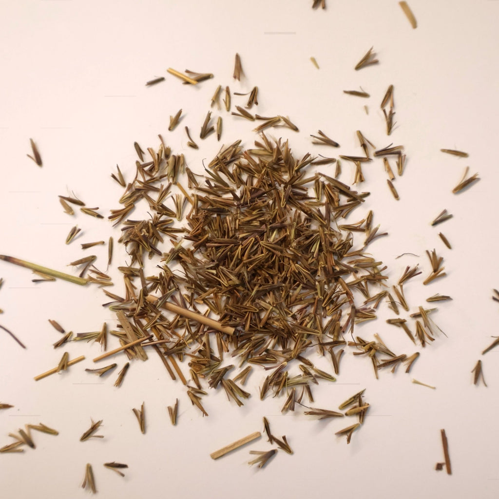 Small pile of LIttle Bluestem grass seed on white background