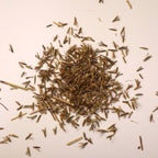 Small pile of LIttle Bluestem grass seed on white background