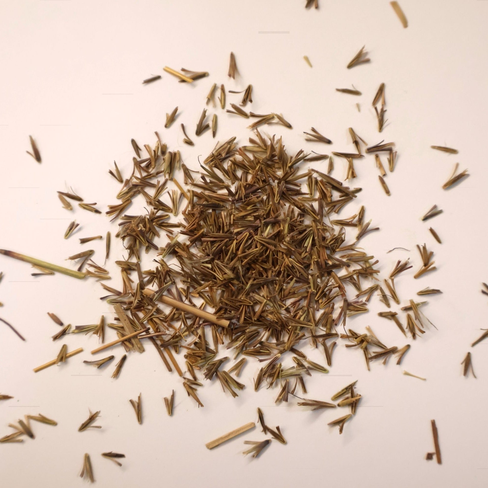 Small pile of LIttle Bluestem grass seed on white background