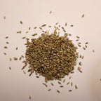 pile of Switchgrass seeds on white background