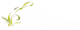 native connections logo