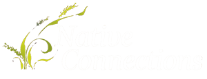 Native Connections